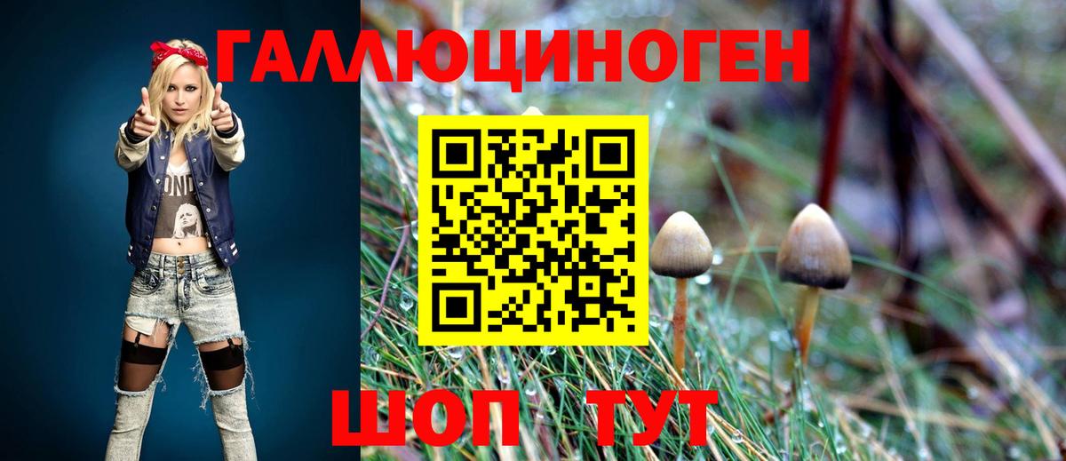 Галлюциногенные грибы мицелий Волгодонск