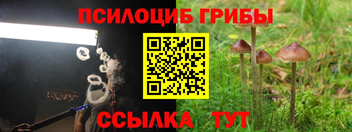 Волгодонск  Галлюциногенные грибы мухоморы  купить закладку  Вход с VPN 